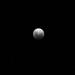 The Moon has been Eaten – Lunar Eclipse
