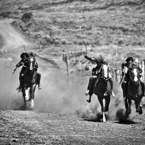 Tapati, Youth Horse Race