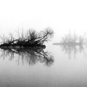 Islands in Fog, Susquehanna State Park 1988